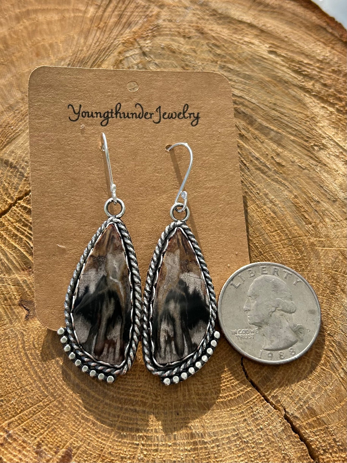 Petrified Wood Earrings