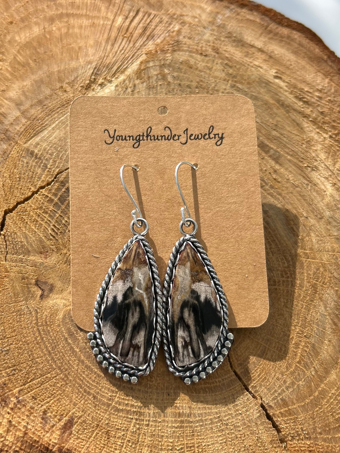 Petrified Wood Earrings